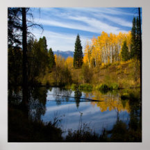 Beaver Pond Reflections On Canvas Posters