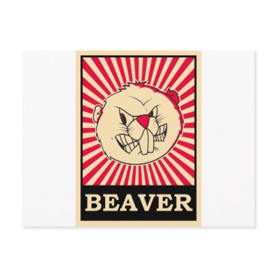 Beaver Post Card by animalworld