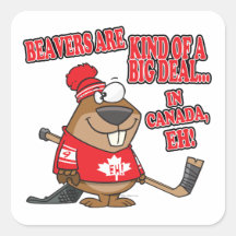 beavers kind of big deal in canada square sticker