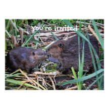 Beavers Kissing Photo Personalized Invitation
