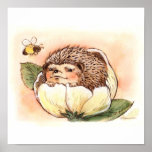 Bébé de fleur de hérisson poster