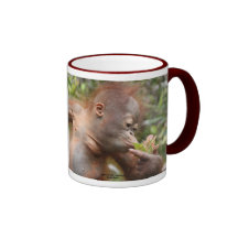 Bébé d'orang-outan au Bornéo Mug