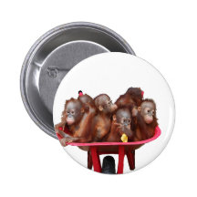bébés rouges copy.png de brouette badge avec épingle