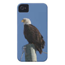 BEBS Bald Eagle Blue Sky Case-Mate iPhone 4 Cases
