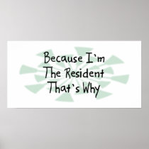 Because I'm the Resident Poster