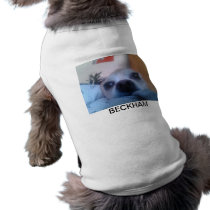 Beckham Doggie Shirt