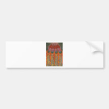 Becoming Rooted Bumper Stickers