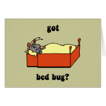 Bed bugs