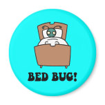 bed bugs