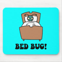 bed bugs