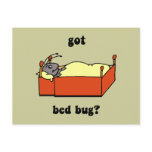 Bed bugs postcards