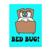 bed bugs