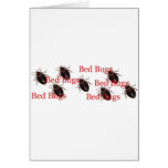 bedbugs card
