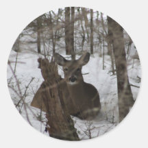 Bedded Down Stickers