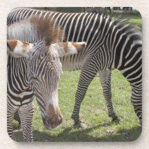 Bedfordshire, England Drink Coasters