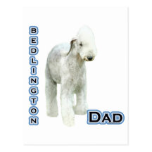 Bedlington Terrier Dad 4 Postcards