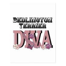 Bedlington Terrier DIVA Post Cards