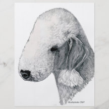 Bedlington Terrier Flyer