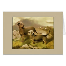 Bedlington Terrier General Greeting Card