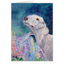 Bedlington Terrier Greeting Cards