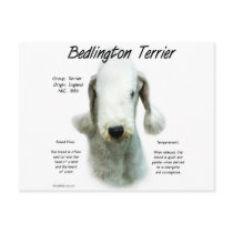 Bedlington Terrier History Design