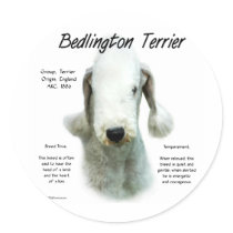 Bedlington Terrier History Design