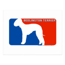 Bedlington Terrier Major League Dog Postcard