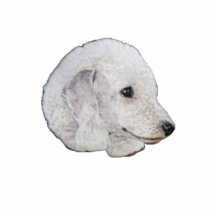 Bedlington Terrier Photo Cut Out