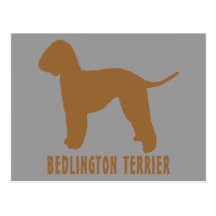 Bedlington Terrier Postcard