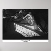 Bedsheets in Morning Light Print