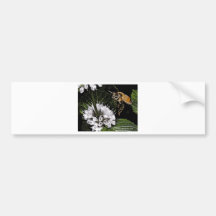 bee a bumper stickers