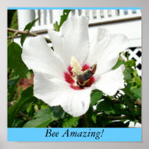 Bee Amazing! Poster