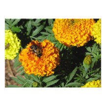 Bee and flower invitation