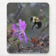 Bee and Wildflower Mousepads