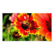 Bee Art Photo