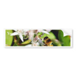 Bee At The Wild Animal Park Bumper Sticker