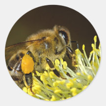Bee at Work Stickers