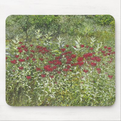 Bee Balm (Bergamont) in August Mouse Mats by AdirondackImages