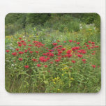 Bee Balm (Bergamot) Mouse Mats