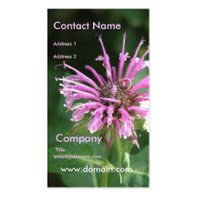 Bee Balm Business Card