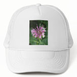 Bee Balm Flower Baseball Hat
