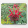 Bee Balm Mouse Pads