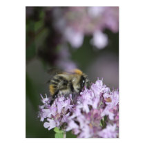 Bee Business Card