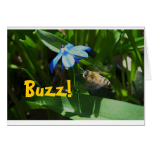 Bee, Buzz Notecard!