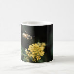 bee coffee mugs