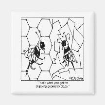 Bee Geometry Magnet