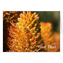 Bee Greeting Card