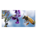 Bee Harvesting Pollen Custom Photo Card