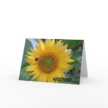 Bee in flight greeting card