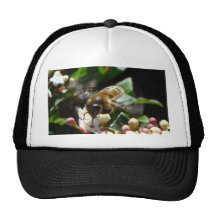 Bee in Flight Trucker Hats